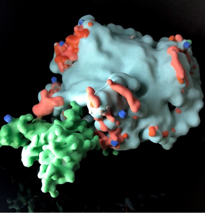 A 3D model of Cassiopeia A, printed on a powder printer in multi-colors.  