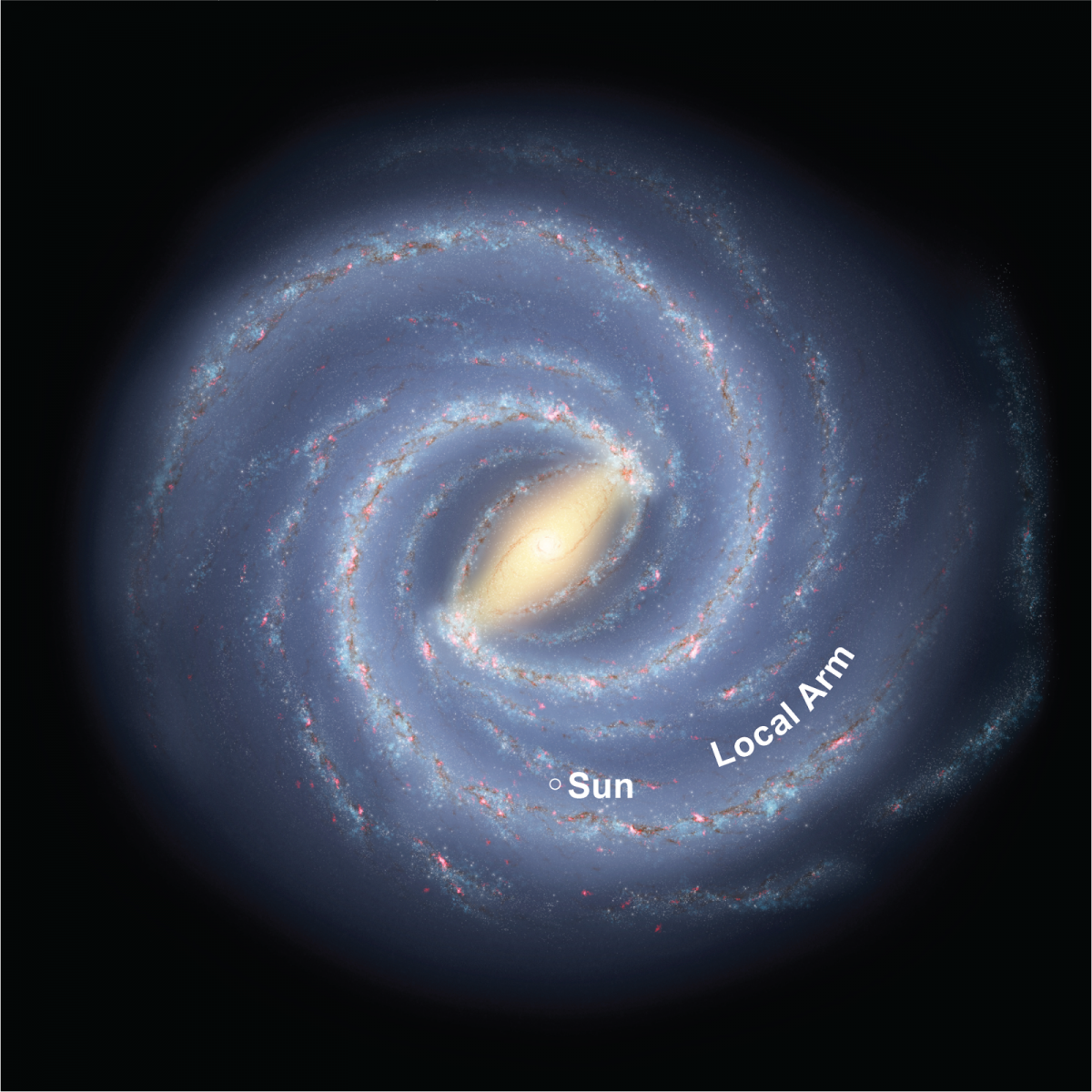 Illustration of the Milky Way galaxy as it would be seen from a bird's eye view.  The central region looks like a glowing football, with spidery arms spiraling outward. The Local Arm is shown as the second arm out from the center, stemming from the upper right side of the football in this view.  The Sun, our star, is located on the Local Arm.