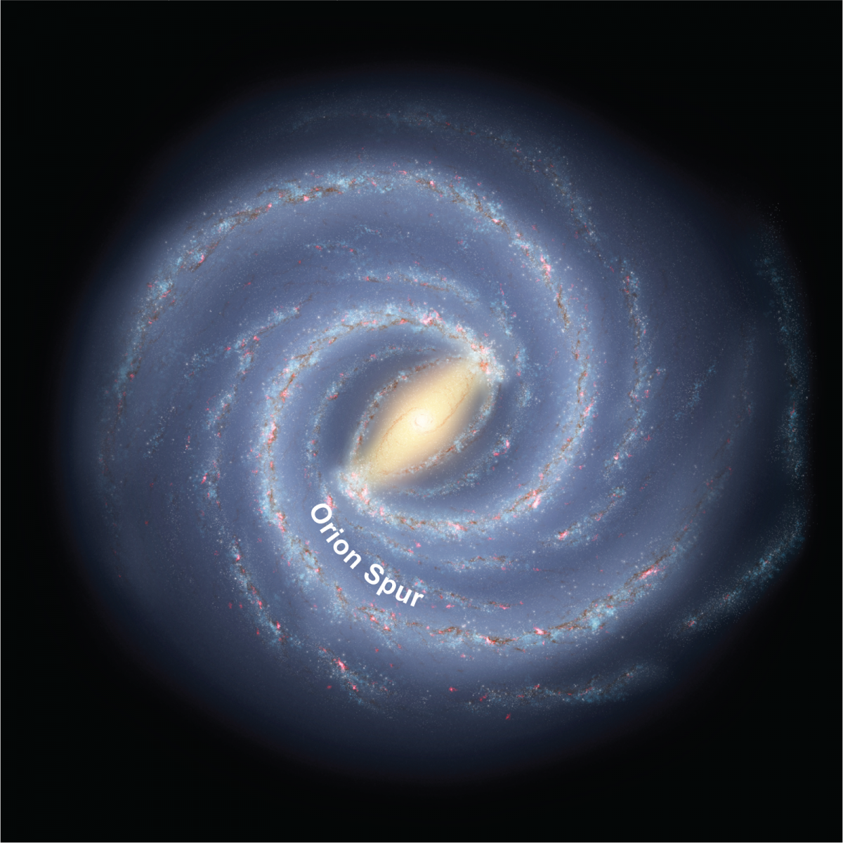 Illustration of the Milky Way galaxy as it would be seen from a bird's eye view.  The central region looks like a glowing football, with spidery arms spiraling outward. The Orion Spur is an offshoot from the second arm out from the center, stemming from the upper right side of the football in this view.  Orion is located on the Orion Spur.