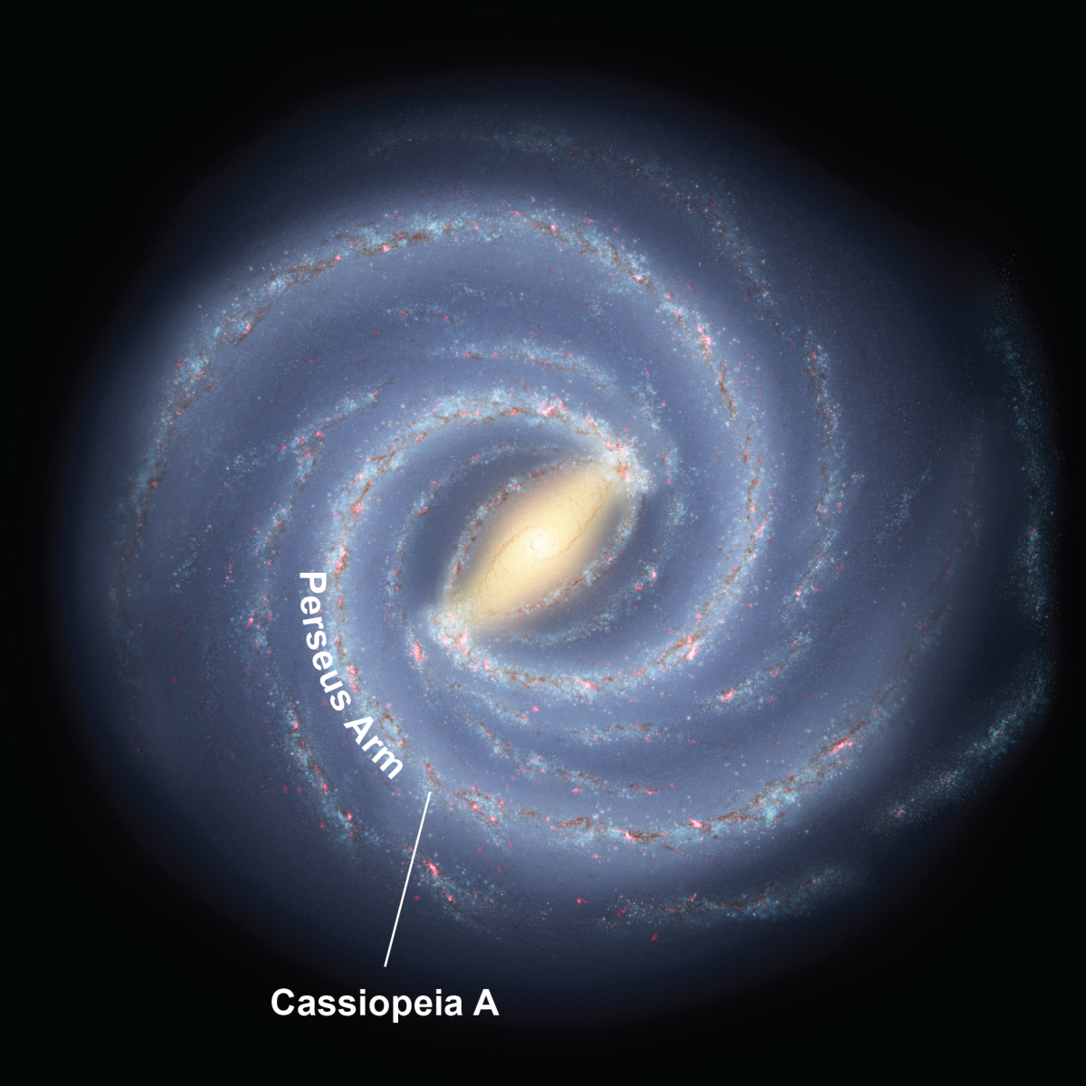 Illustration of the Milky Way galaxy as it would be seen from a bird's eye view.  The central region looks like a glowing football, with spidery arms spiraling outward. The Perseus Arm is shown as the third arm out from the center, stemming from the upper right side of the football in this view.  Cassiopeia A is located on the Perseus Arm.