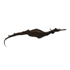 rendered image of sea dragon
